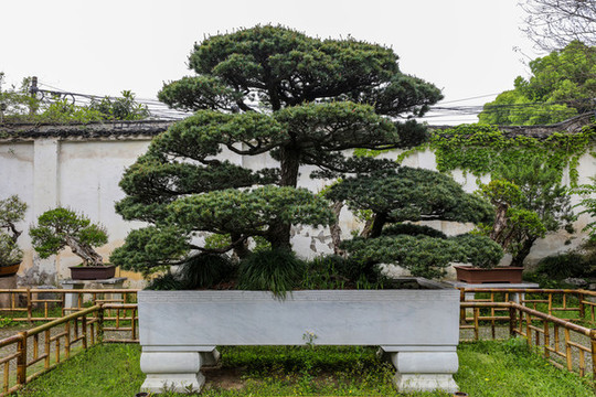 蘇州留園