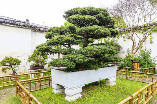 蘇州留園