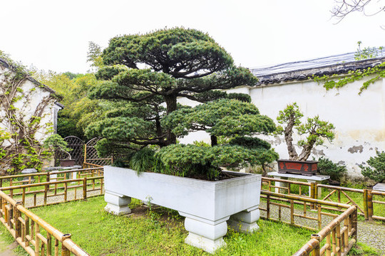 蘇州留園
