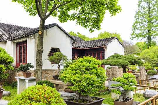 蘇州留園小桃塢