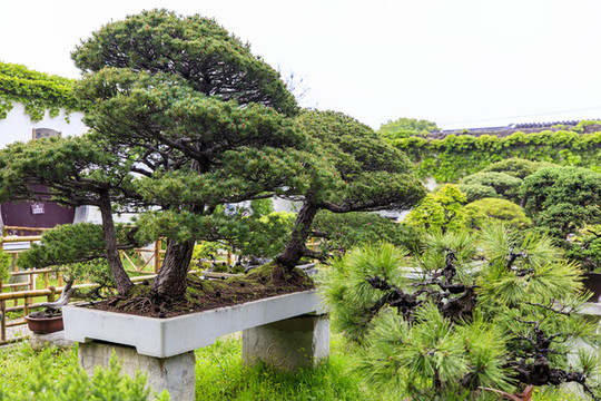 蘇州留園