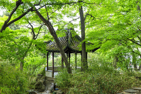 蘇州留園至樂亭
