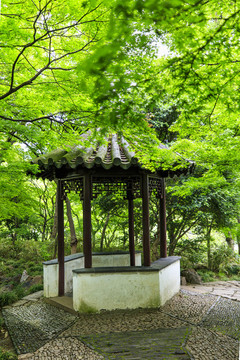 蘇州留園舒嘯亭