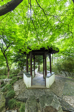 蘇州留園舒嘯亭