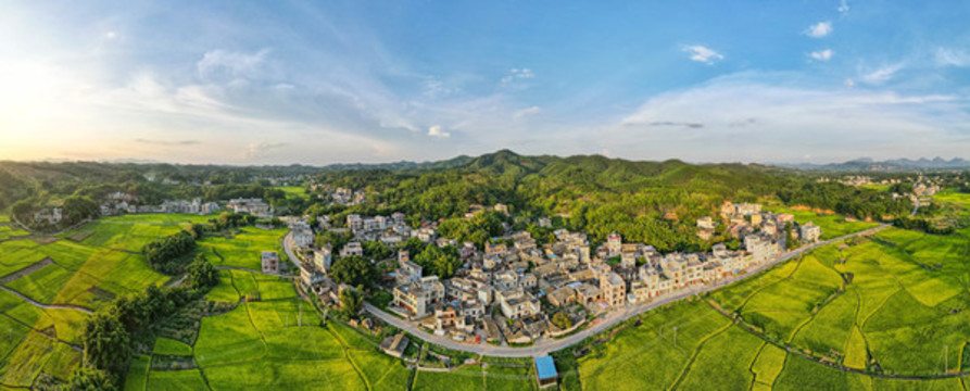 瓊新村田野