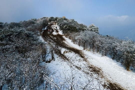 徒步龍王山看雪景