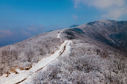 徒步龍王山看雪景
