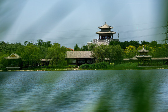 天津水西公園美景