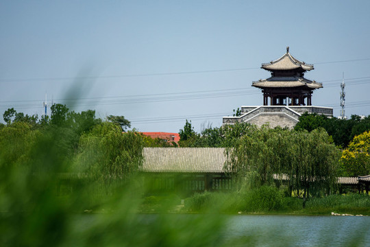 天津水西公園美景