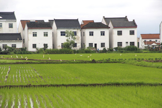 白鷺家園