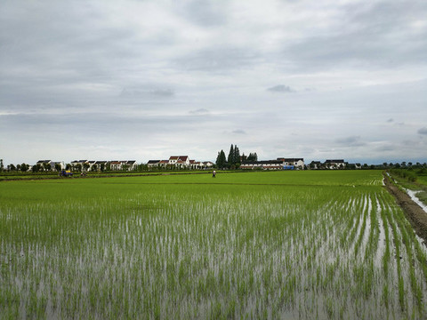 美景田園鄉(xiāng)野畫卷