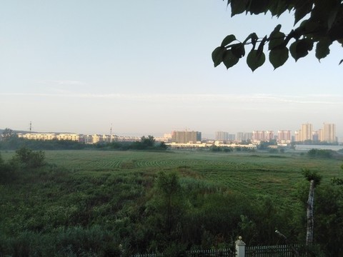 郊外