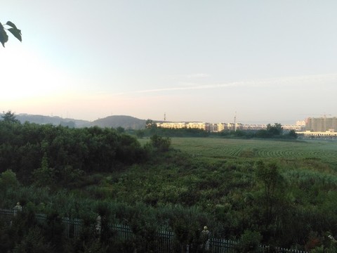 郊外