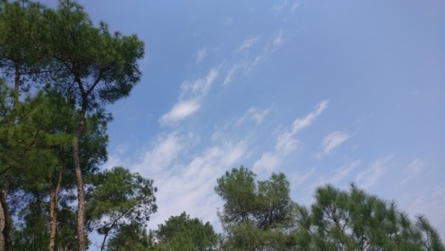 藍(lán)天