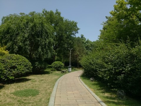 城市公園