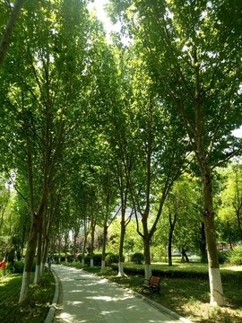 城市公園