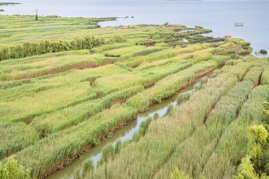草海