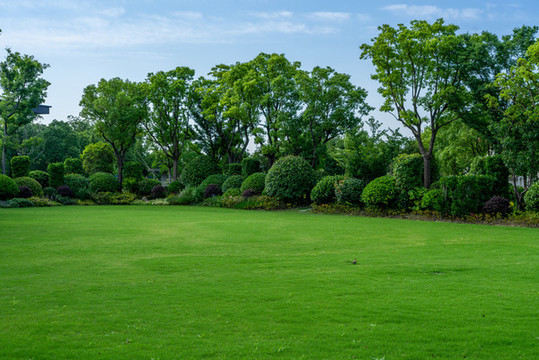 樹林草地