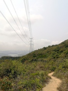 山梁小路