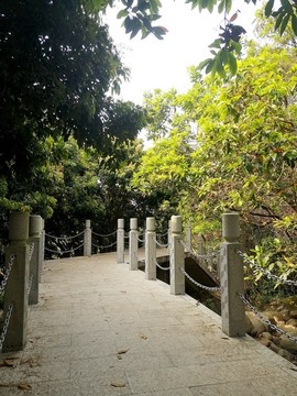 石板道路
