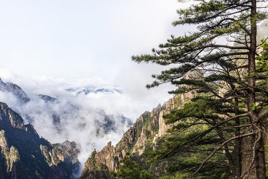 黃山云海