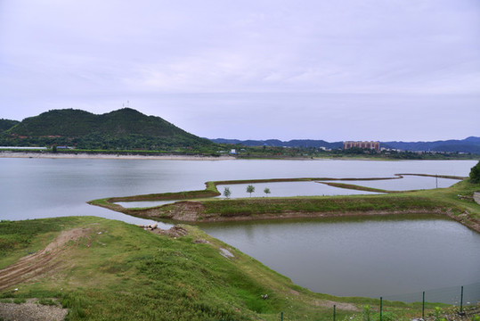 雨后鄖陽漢江江岸植被更茂盛