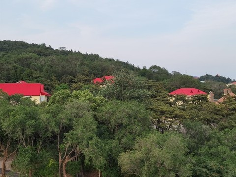 綠樹(shù)掩映的別墅