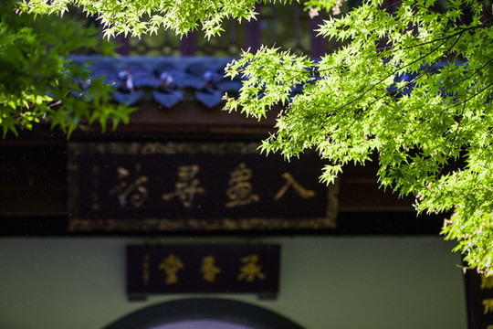 杭州西湖入畫尋詩