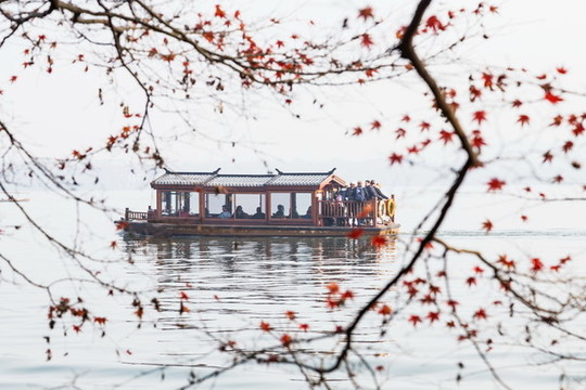 杭州西湖楓葉紅