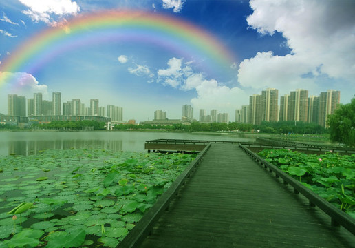 南京風光蓮花湖