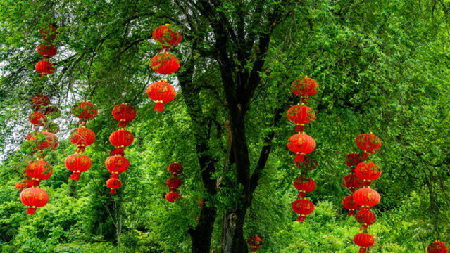 紅燈籠