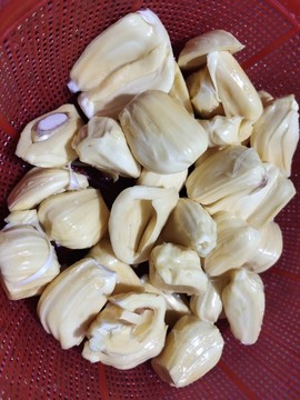 菠蘿蜜
