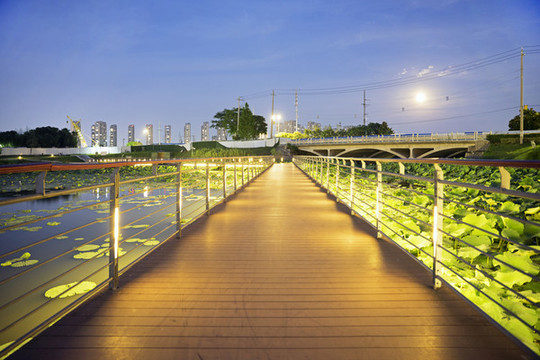南京江寧九龍湖公園夜景