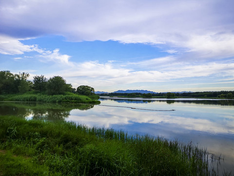 郊野