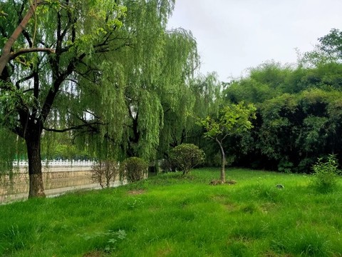 公園