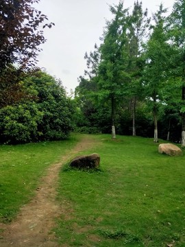 公園