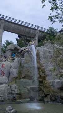 龍