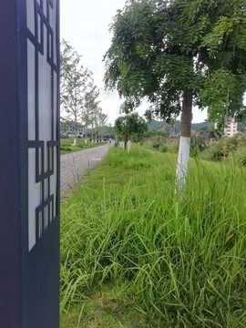走廊