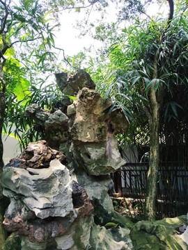 假山風(fēng)光