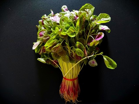 一把紅莧菜