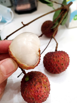 香山雞嘴荔枝
