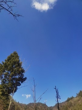蔚藍(lán)的天空