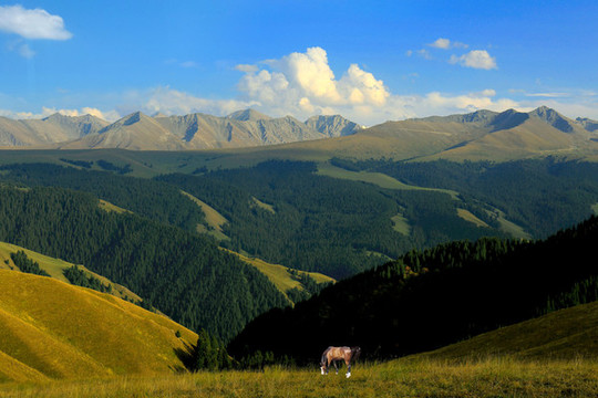 群山圖