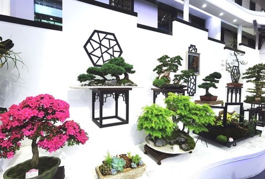插花盆景藝術(shù)