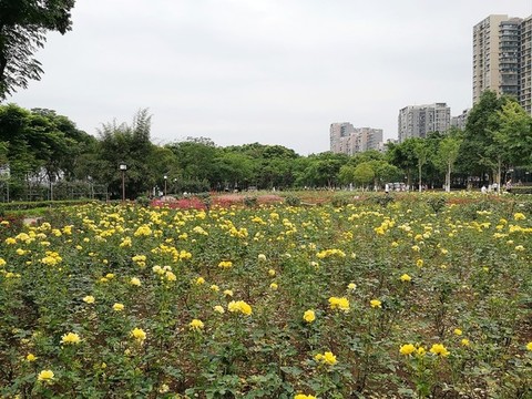 月季園