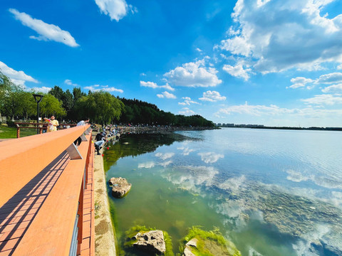 沈陽丁香湖公園
