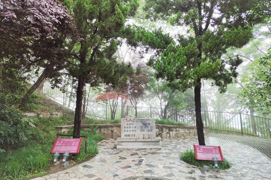 中國鎮(zhèn)江市美國坦佩市友誼樹