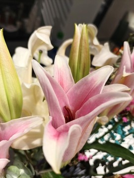 鮮花