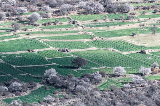 雅魯藏布江大峽谷