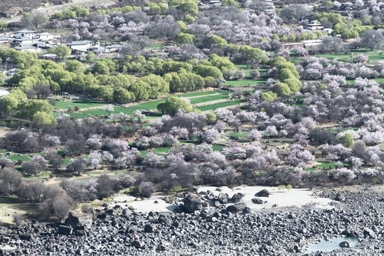 雅魯藏布江大峽谷